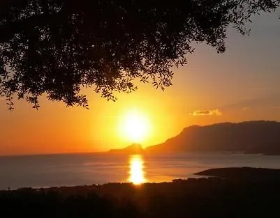 Su Paradisu Appartamento Olbia